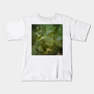 Maple Tree Green Leaves Kids T-Shirt